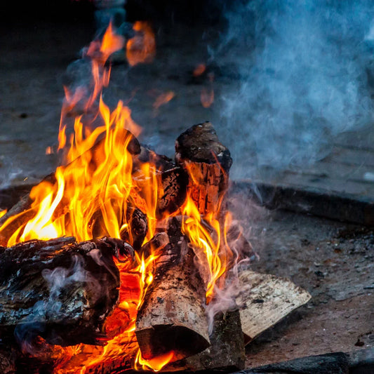 Crackling campfire in the wilderness—symbolizing natural healing, resilience, and the idea that true medicine is more than just pills.