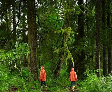 A man standing at a fork in the road, choosing a path forward in health—symbolizing the decision to embrace natural, holistic wellness.