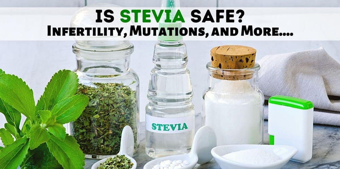 A close-up of stevia leaves, highlighting the bitter truth about its effects on hormone balance, particularly progesterone."