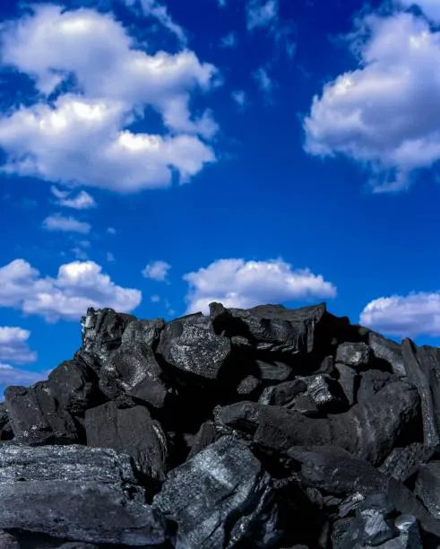 Biochar against a backdrop of clear blue skies—representing the sustainable benefits of biochar for soil health, carbon sequestration, and environmental vitality.